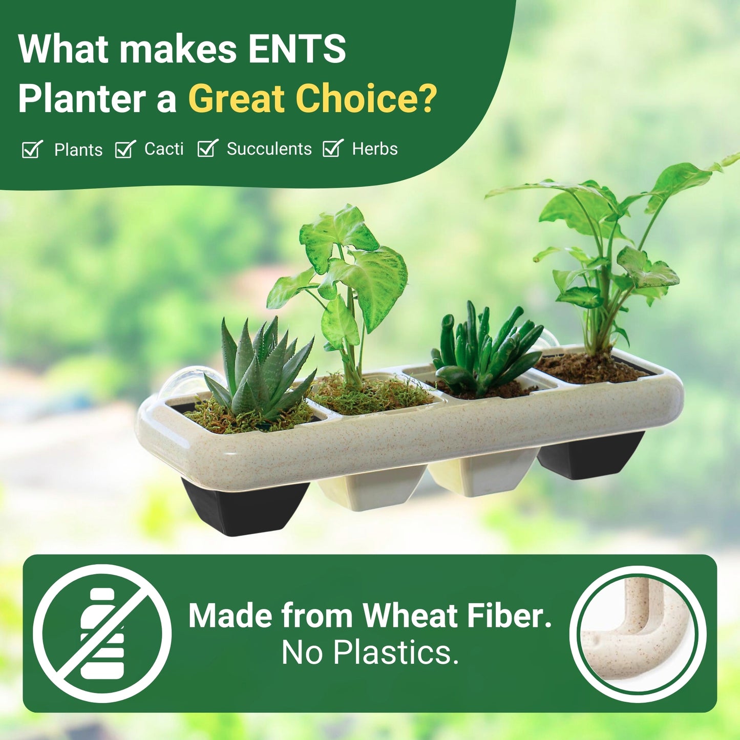 Eco-Friendly Indoor Window Planter (White & Black Pots)