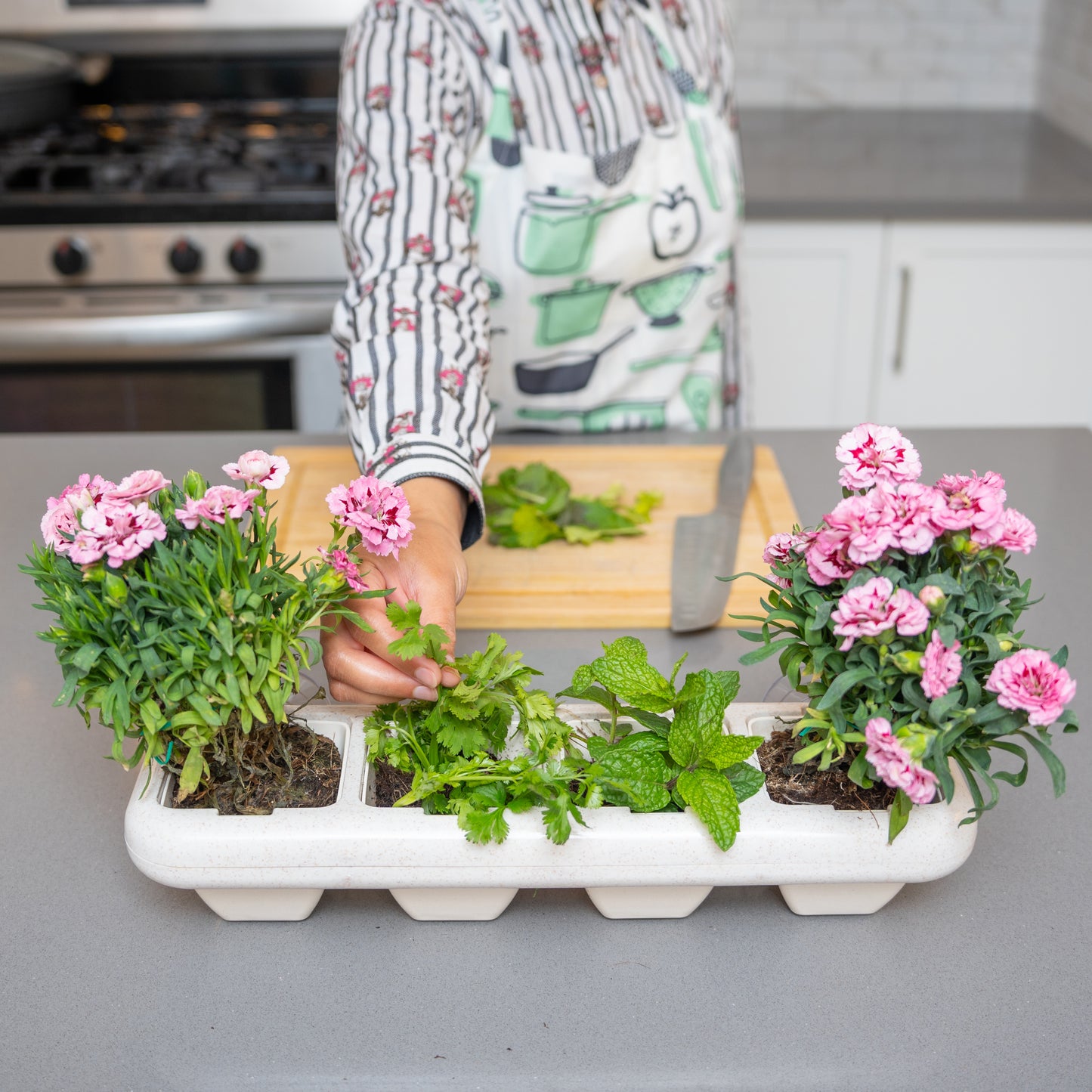Eco-Friendly Indoor Window Planter (White Pots)