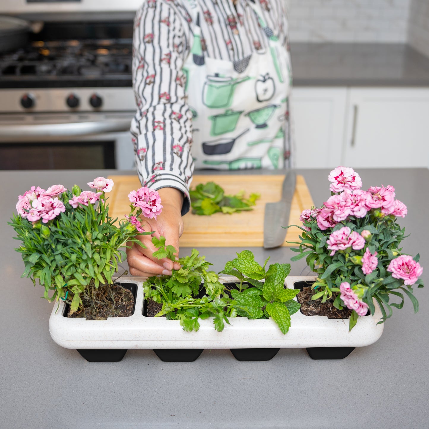 Eco-Friendly Indoor Window Planter (Black Pots)