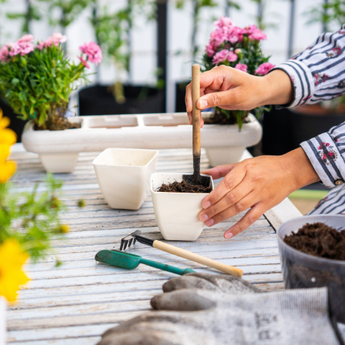 Eco-Friendly Wheat Fiber No Plastic Planter