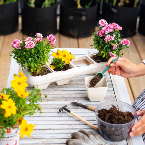 Eco-Friendly Wheat Fiber No Plastic Planter