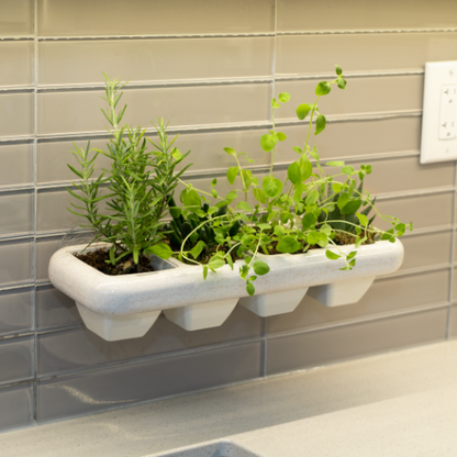 Eco-Friendly Wheat Fiber No Plastic Planter