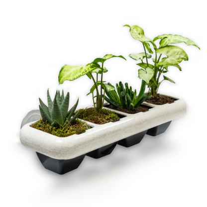 Eco-Friendly Wheat Fiber No Plastic Planter