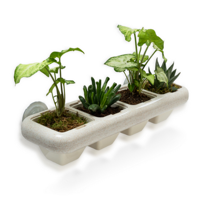 Eco-Friendly Wheat Fiber No Plastic Planter