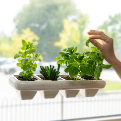 Eco-Friendly Wheat Fiber No Plastic Planter