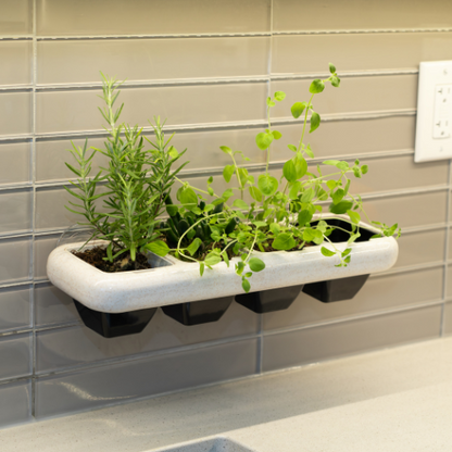 Eco-Friendly Wheat Fiber No Plastic Planter