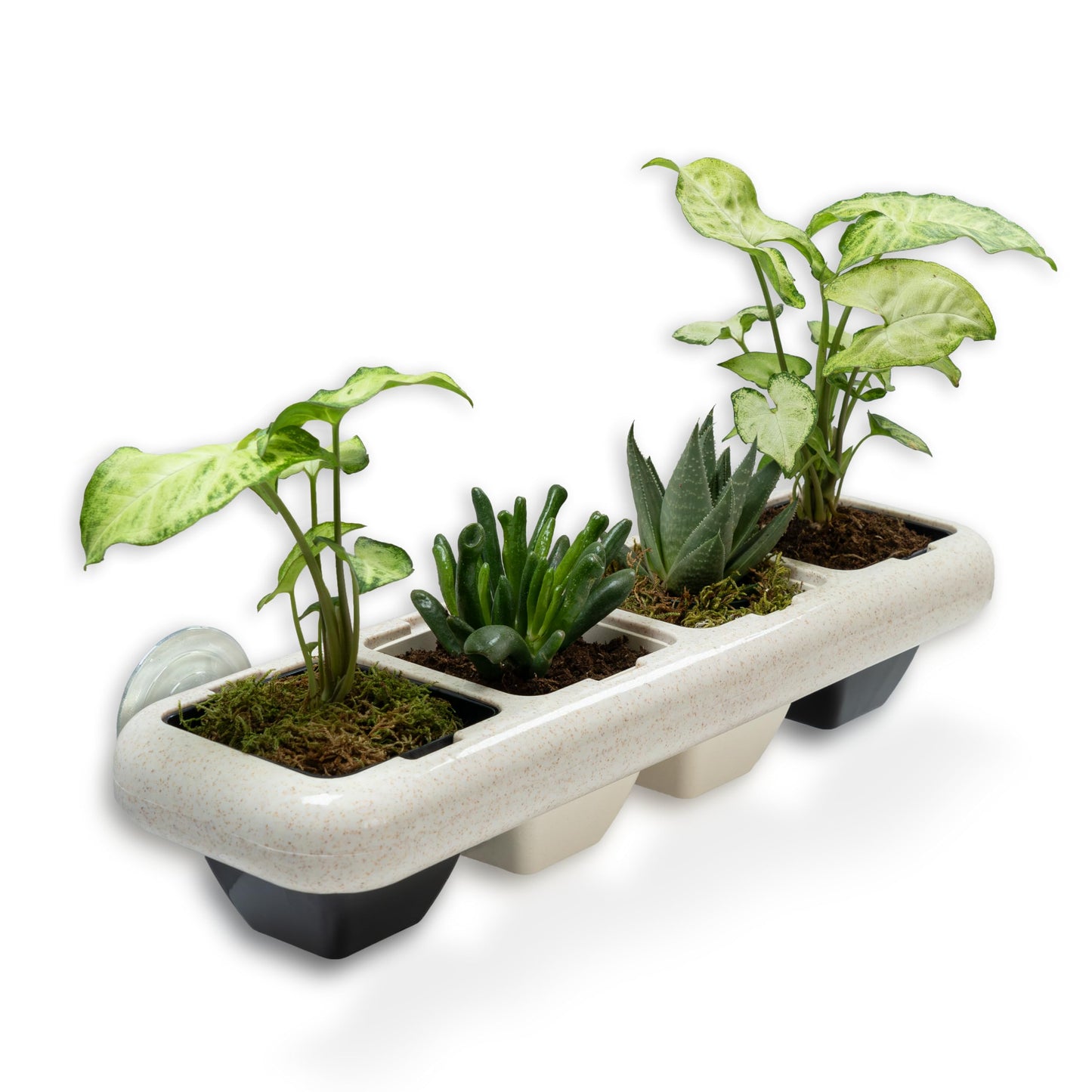 Eco-Friendly Wheat Fiber No Plastic Planter