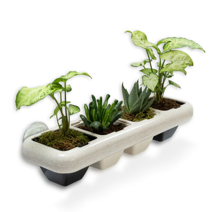 Eco-Friendly Wheat Fiber No Plastic Planter