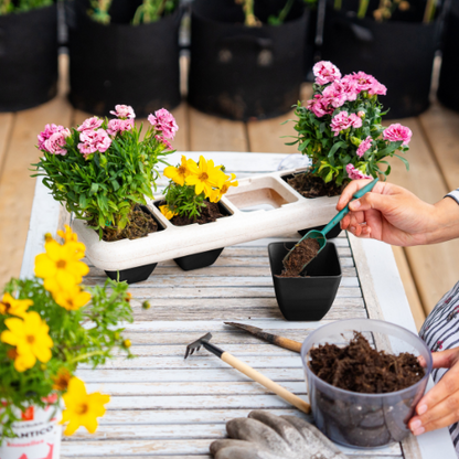 Eco-Friendly Wheat Fiber No Plastic Planter